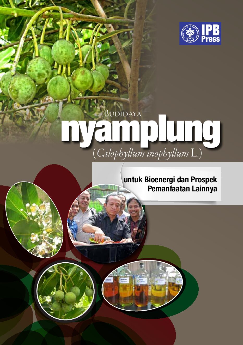 Cover Budidaya Nyamplung (Calophyllum Budi Leksono 2014